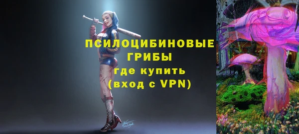 прущий лед Абаза