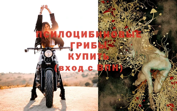 прущий лед Абаза
