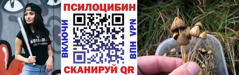наркотики  Котово  Псилоцибиновые грибы Psilocybe 